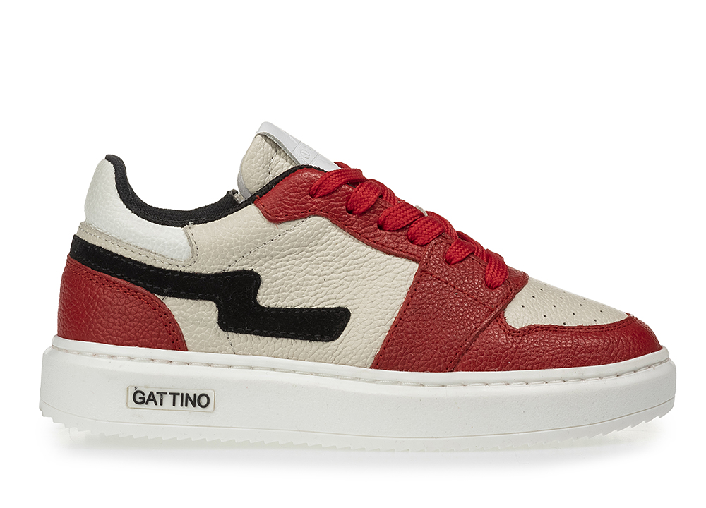 gattino