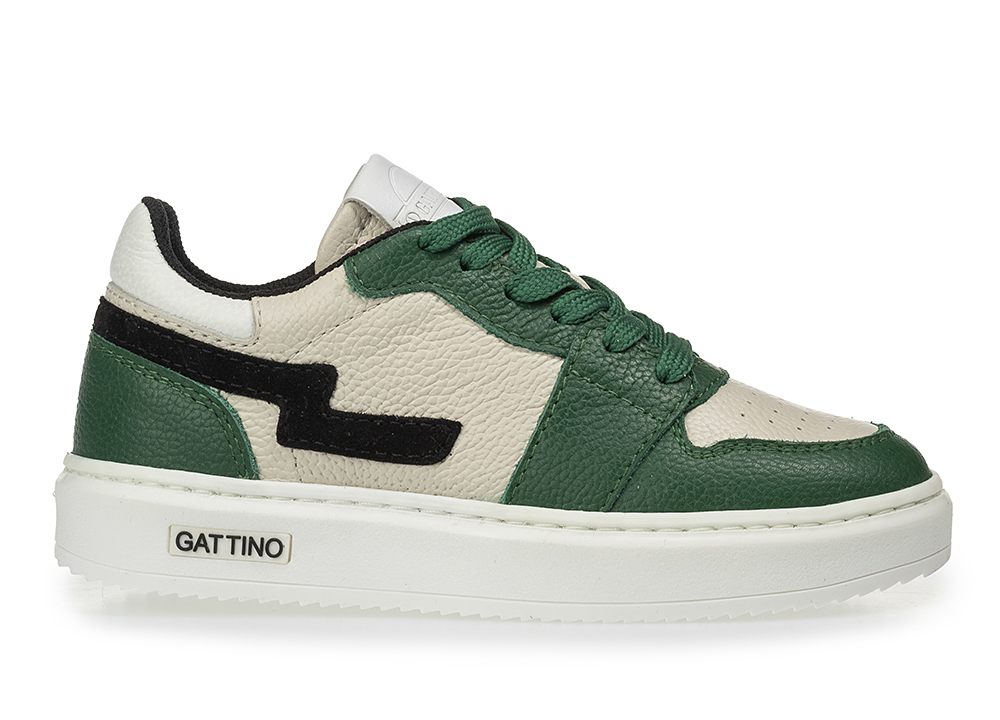 gattino
