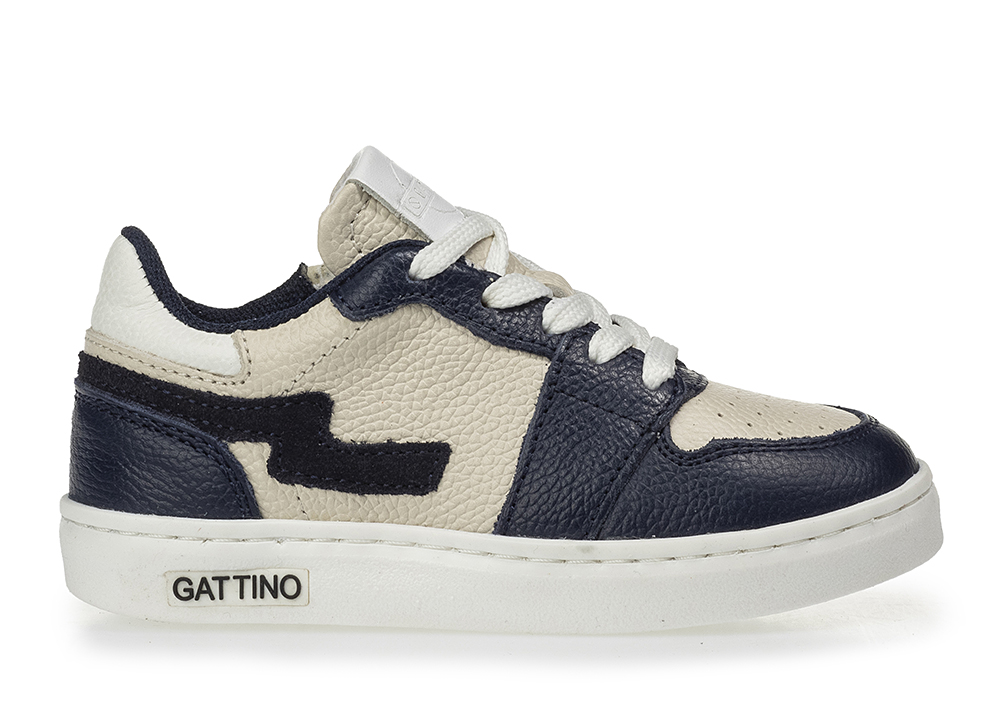 gattino