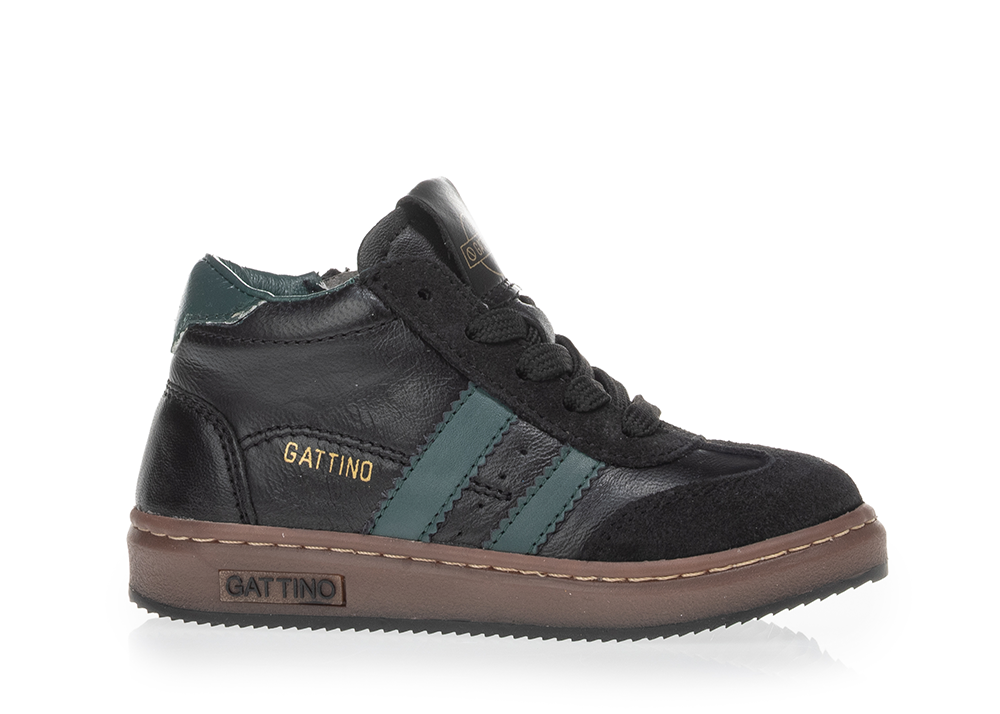 gattino