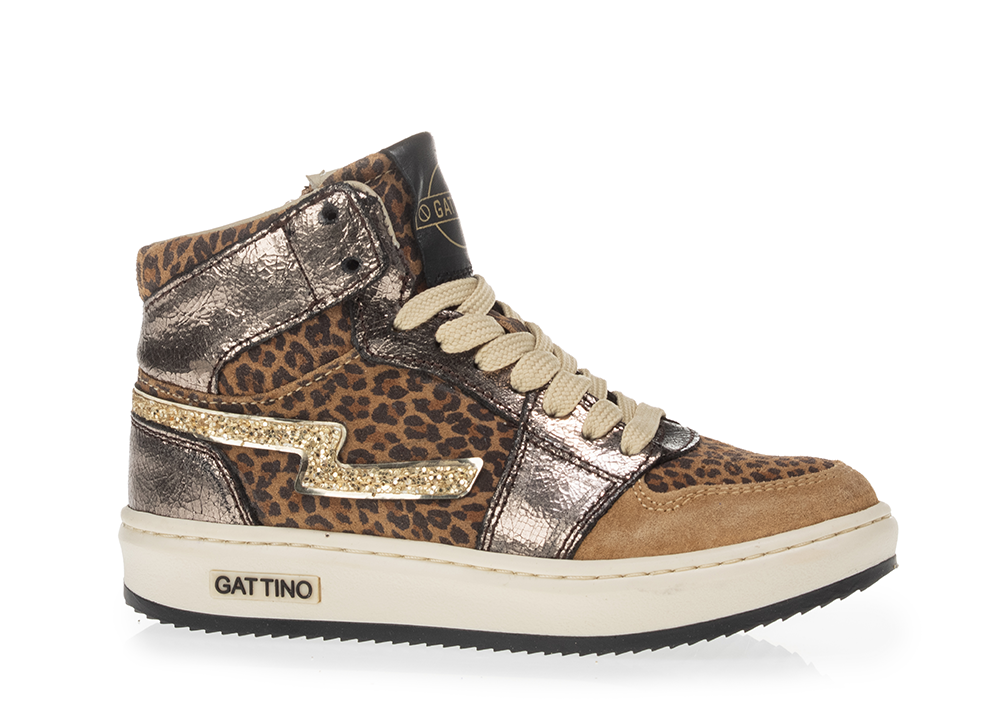 gattino