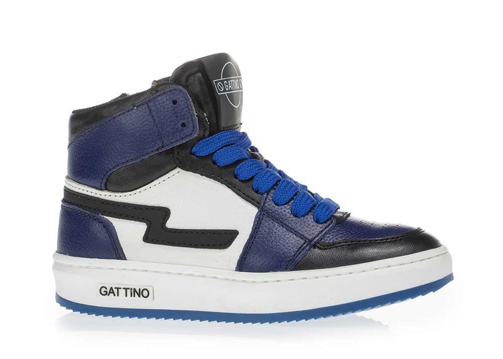 gattino