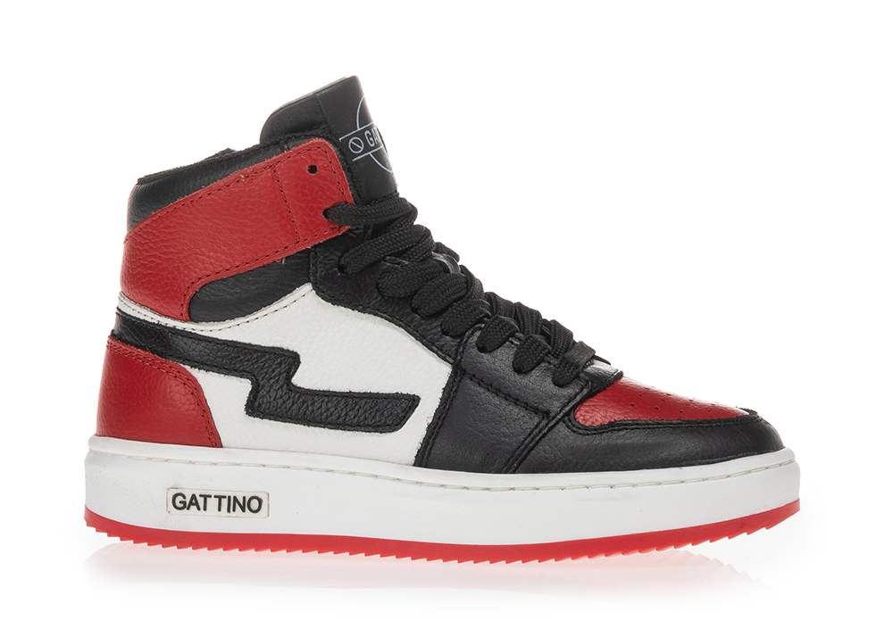 gattino