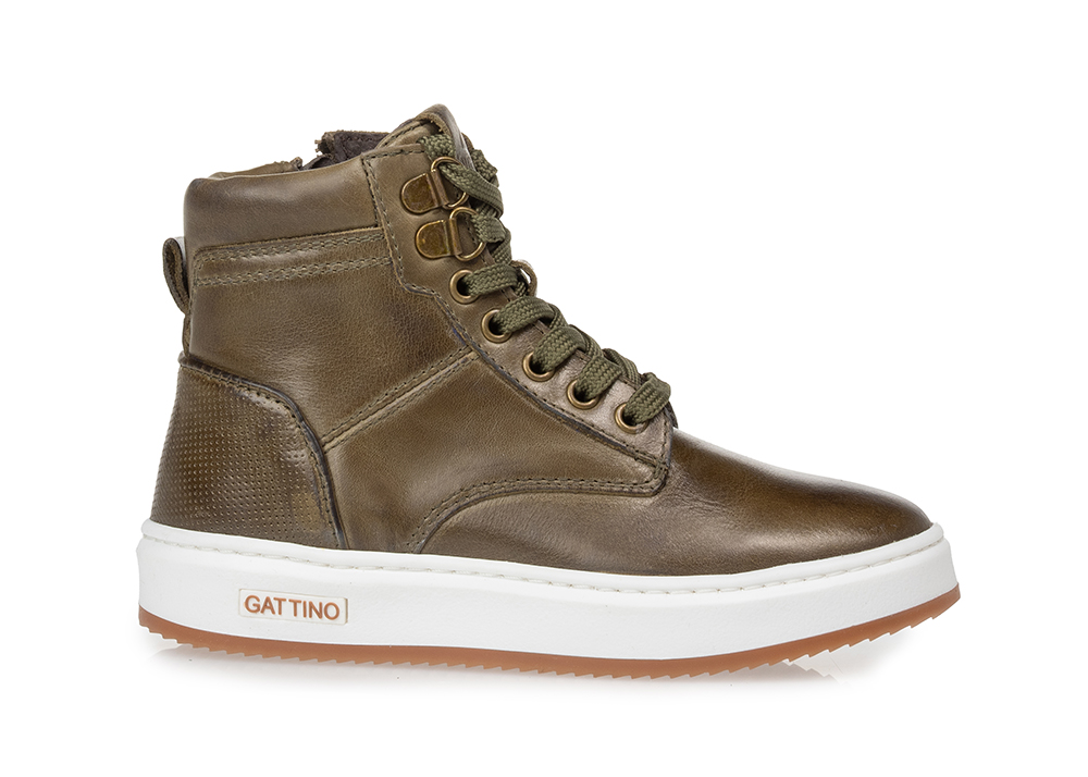 gattino