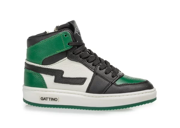 gattino